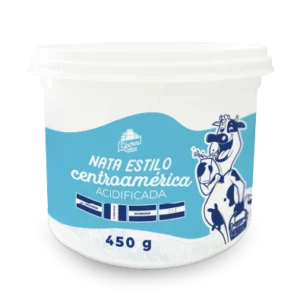 Nata Estilo Centroamérica x 450 gr.